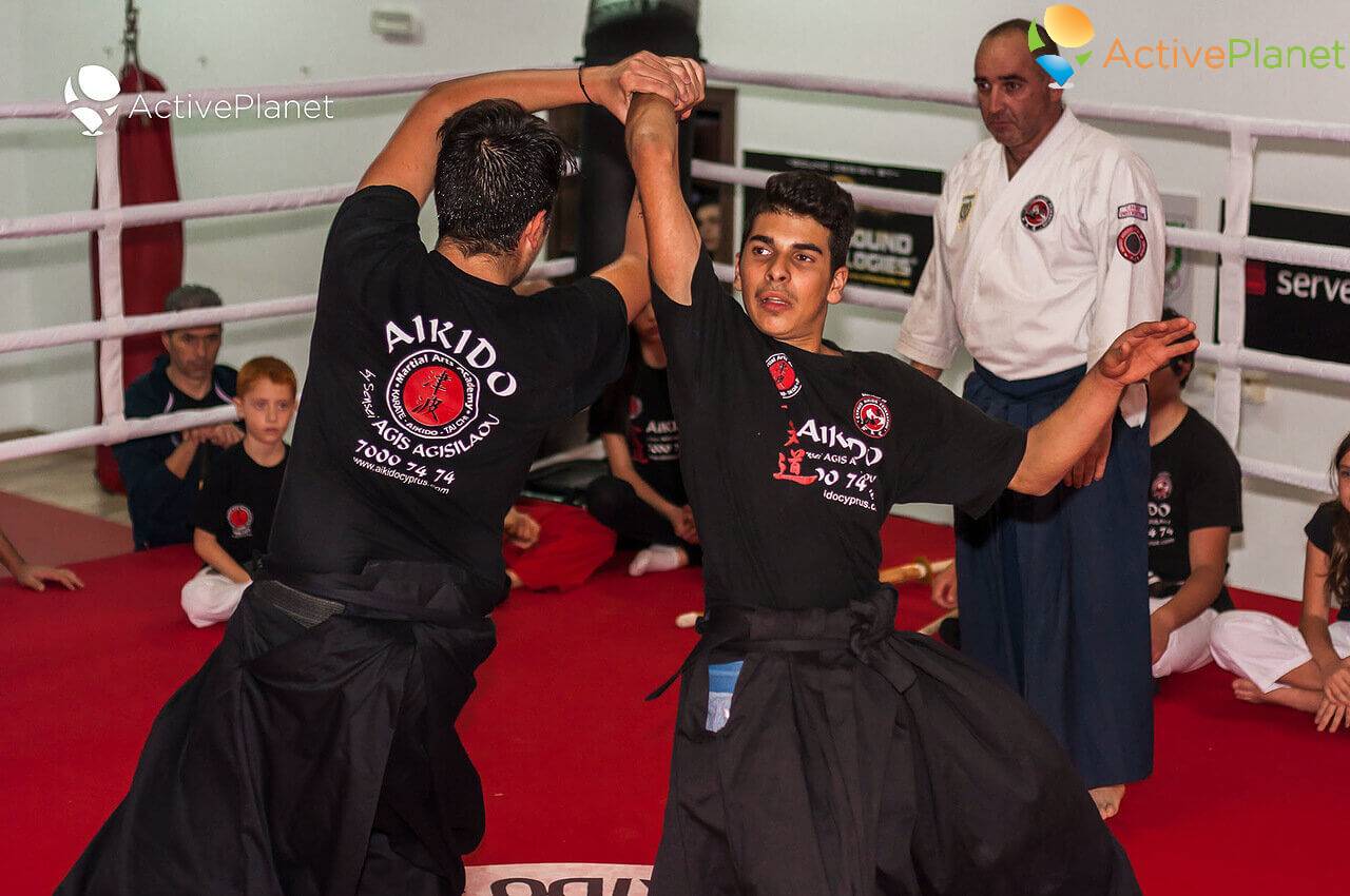 Aikido Gathering in Cyprus